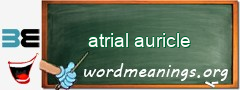 WordMeaning blackboard for atrial auricle